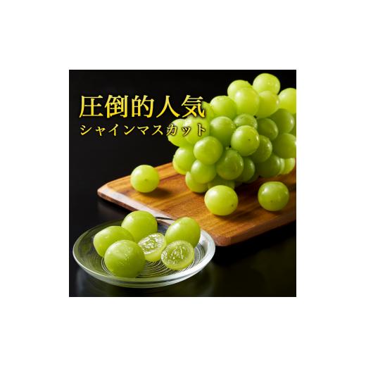 ふるさと納税 ぶどう マスカット 山形県 寒河江市 《山形県産》 新鮮 2025年 山形県産 幸せを呼ぶ黄色いさくらんぼ 月山錦 1kg（希少品