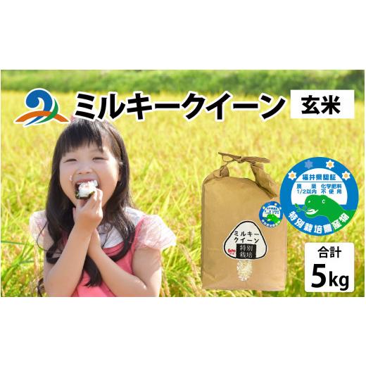 ふるさと納税 米 ミルキークイーン 福井県 南越前町 令和7年産 農家直送 選べる精米方法 特別栽培米認証3 ミルキークイーン 5kg×1袋(計5kg)玄米 玄米