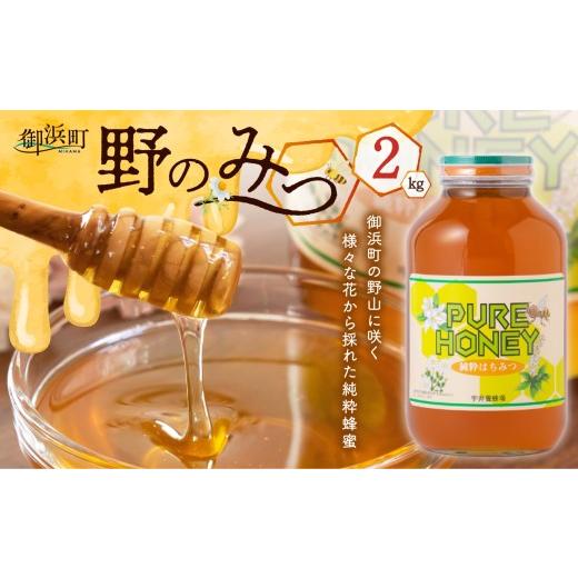 ふるさと納税 加工品等 はちみつ 三重県 御浜町 うい養蜂の野のみつ2