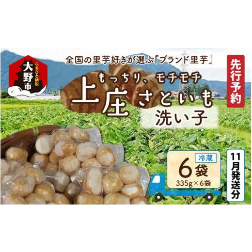 ふるさと納税 人参・大根・他根菜 福井県 大野市 先行予約 11月発送分 満天 上庄産さといもの「洗い子2.01kg(335g×6袋)」 日本一の味をめざし、有機肥料配…