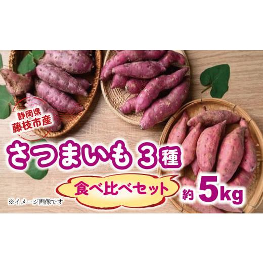ふるさと納税 野菜類 サツマイモ 静岡県 藤枝市 2025年11月〜順次発送予定 さつまいも 3種 食べ比べセット 約5kg 紅はるか シルクスイート 安納芋 芋 期間限…