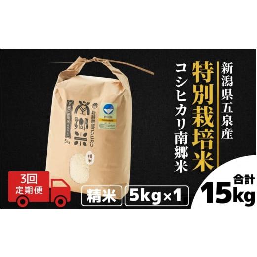 ふるさと納税 米 コシヒカリ 新潟県 五泉市 令和7年産 新米 定期便 3ヶ月 米 5kg × 3回 五泉産 コシヒカリ 100% 南郷米 特別栽培米 | 白米 精米 こしひかり …