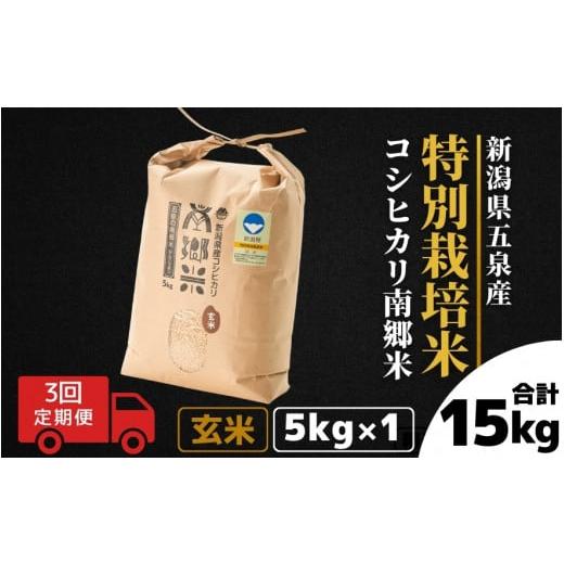 ふるさと納税 米 コシヒカリ 新潟県 五泉市 令和7年産 定期便 3ヶ月 玄米 5kg × 3回 五泉産 コシヒカリ 南郷米 特別栽培米 | げんまい こしひかり お米 おこ…