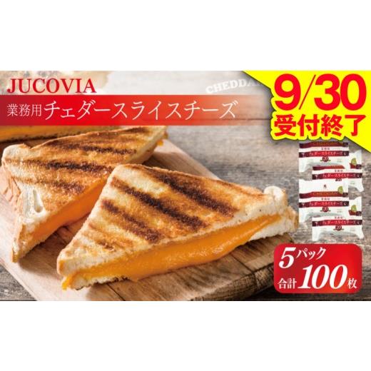 ふるさと納税 加工品等 チーズ 大阪府 泉佐野市 9/30受付終了 JUCOVIA 業務用チェダースライスチーズ 100枚 ムラカワチーズ 小分け 20枚×5P 普段使い 高評…