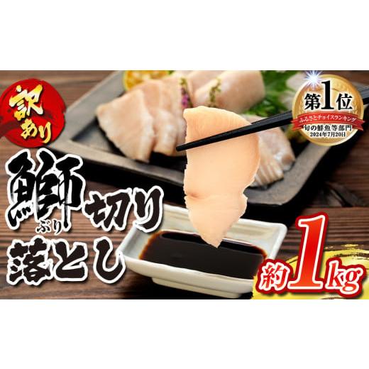 ふるさと納税 旬の鮮魚等 愛媛県 宇和島市 ブリ 訳あり 鰤 ぶり 切り落とし 計約 1kg (250g×4パック) 南予ビージョイ わけあり buri 産地直送 訳アリ 訳あり…