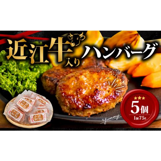ふるさと納税 肉 ハンバーグ 滋賀県 竜王町 5月発送 近江牛 入り ハンバーグ 75g×5個 375g 冷凍 ギフト 肉 お取り寄せ 黒毛和牛 贈答用 ごはんのお供 三大和…