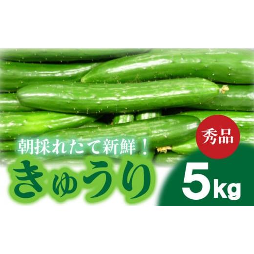 ふるさと納税 野菜類 山口県 下関市 2026年度発送 先行予約 Lサイズ 約38本 きゅうり 秀品 5kg 朝採れ 野菜 赤土 キュウリ 胡瓜 新鮮 カリカリ 山口産 もぎた…