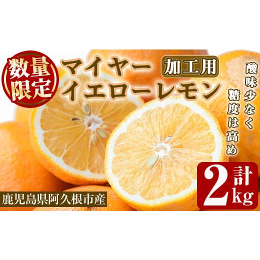 ふるさと納税 みかん・柑橘類 レモン 鹿児島県 阿久根市 先行予約受付中 2026年1月中旬以降順次発送予定 数量限定 加工用・露地マイヤーイエローレモン(2kg) …