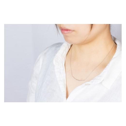 ふるさと納税 アクセサリー ネックレス 山梨県 甲府市 〈 甲府ジュエリー 〉0.3ct PT900ラインネックレス HY-25 プラチナ