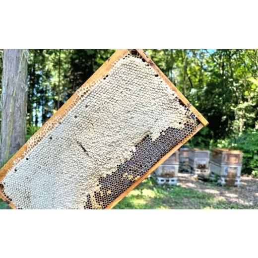 ふるさと納税 加工品等 はちみつ 岐阜県 恵那市 恵那蜂蜜 5本セット (蓮華蜂蜜300g×2本、百花蜂蜜1000g×1本、栗蜂蜜300g×2本) ／ はちみつ 国産 蓮華蜂蜜 …の画像