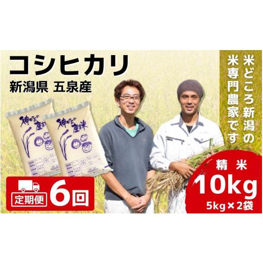 ふるさと納税 米 コシヒカリ 新潟県 五泉市 先行予約 令和8年産 定期便 6ヶ月 米 10kg(5kg × 2袋) × 6回 五泉産 コシヒカリ | 白米 精米 こしひかり お米 …