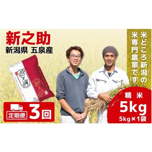 ふるさと納税 米 新潟県 五泉市 令和7年産 定期便 3ヶ月 五泉産 新之助 5kg × 3回 | しんのすけ 新潟県産 お米 おこめ こめ コメ ご飯 ごはん 白米 精米 ブラ…の画像