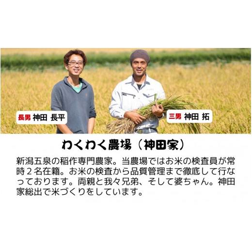 ふるさと納税 米 新潟県 五泉市 令和7年産 定期便 3ヶ月 五泉産 新之助 5kg × 3回 | しんのすけ 新潟県産 お米 おこめ こめ コメ ご飯 ごはん 白米 精米 ブラ…の画像
