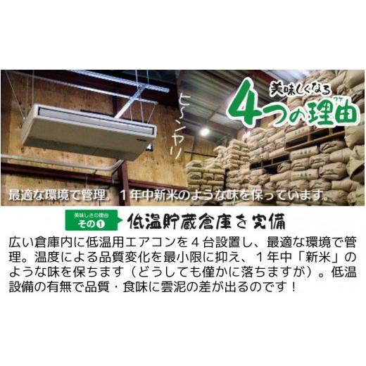 ふるさと納税 米 新潟県 五泉市 令和7年産 定期便 3ヶ月 五泉産 新之助 5kg × 3回 | しんのすけ 新潟県産 お米 おこめ こめ コメ ご飯 ごはん 白米 精米 ブラ…の画像