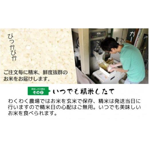 ふるさと納税 米 新潟県 五泉市 令和7年産 定期便 3ヶ月 五泉産 新之助 5kg × 3回 | しんのすけ 新潟県産 お米 おこめ こめ コメ ご飯 ごはん 白米 精米 ブラ…の画像