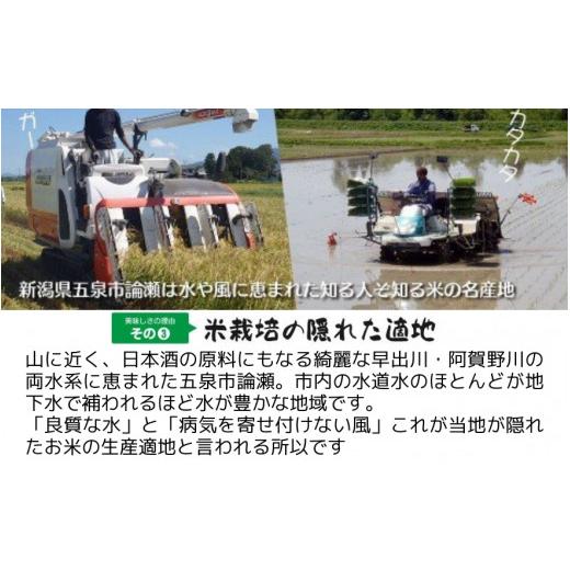 ふるさと納税 米 新潟県 五泉市 令和7年産 定期便 3ヶ月 五泉産 新之助 5kg × 3回 | しんのすけ 新潟県産 お米 おこめ こめ コメ ご飯 ごはん 白米 精米 ブラ…の画像