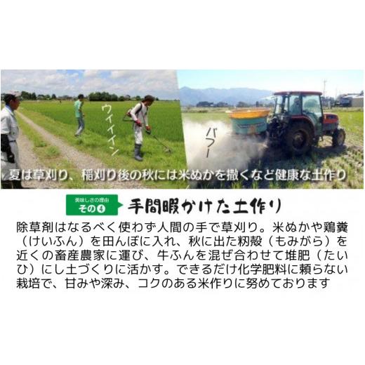 ふるさと納税 米 新潟県 五泉市 令和7年産 定期便 3ヶ月 五泉産 新之助 5kg × 3回 | しんのすけ 新潟県産 お米 おこめ こめ コメ ご飯 ごはん 白米 精米 ブラ…の画像