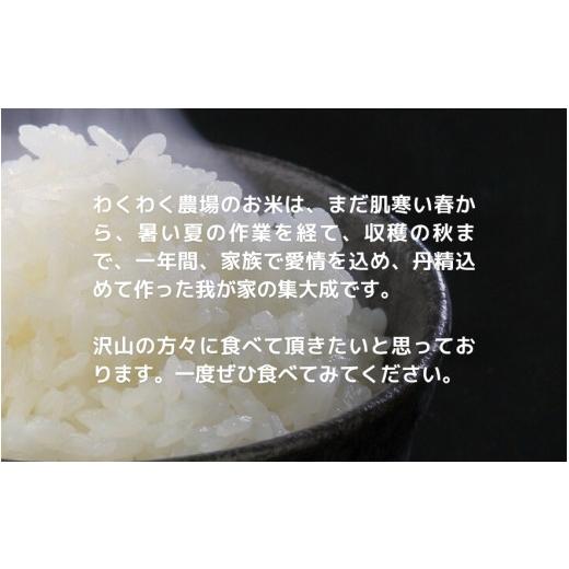 ふるさと納税 米 新潟県 五泉市 令和7年産 定期便 3ヶ月 五泉産 新之助 5kg × 3回 | しんのすけ 新潟県産 お米 おこめ こめ コメ ご飯 ごはん 白米 精米 ブラ…の画像