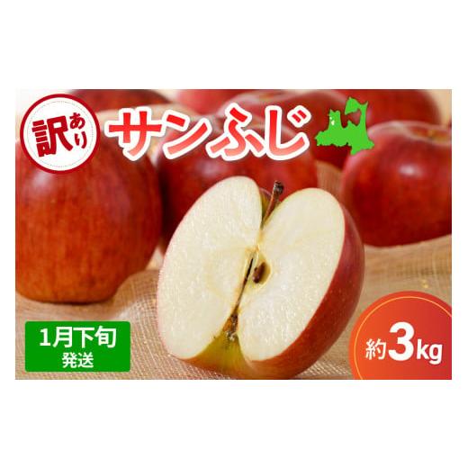 ふるさと納税 りんご 青森県 五所川原市 先行受付 2026年1月下旬発送 サンふじ 訳あり りんご 青森 3kg 度|選べる配送時期| 五所川原 不揃い 1月下旬(21日〜…