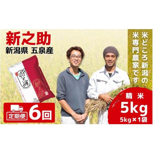 ふるさと納税 米 新潟県 五泉市 令和7年産 新米 定期便 6ヶ月 米 5kg × 6回 五泉産 新之助 | 白米 精米 しんのすけ お米 おこめ コメ こめ おすすめ 人気 新…