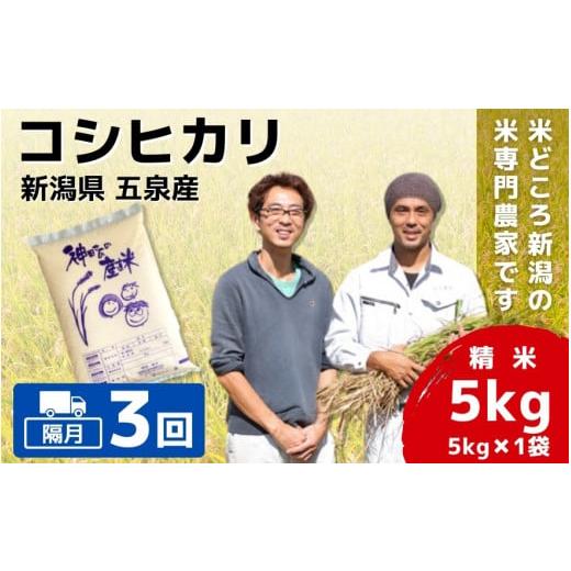 ふるさと納税 米 コシヒカリ 新潟県 五泉市 令和7年産 新米 隔月 3回 米 5kg × 3回 五泉産 コシヒカリ | 白米 精米 こしひかり お米 おこめ コメ こめ おすす…
