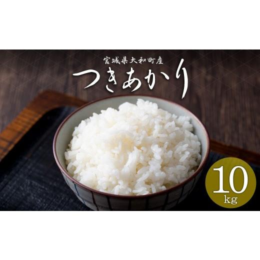 ふるさと納税 米 宮城県 大和町 令和8年産 新米 先行予約受付中 R8年9月下旬から順次発送予定 つきあかり 10kg お米 おこめ 米 コメ 白米 ご飯 ごはん おにぎ…