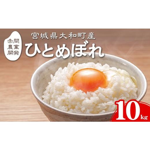 ふるさと納税 米 ひとめぼれ 宮城県 大和町 令和8年産 新米 先行予約受付中 R8年9月下旬から順次発送予定 ひとめぼれ 10kg お米 おこめ 米 コメ 白米 ご飯 ご…
