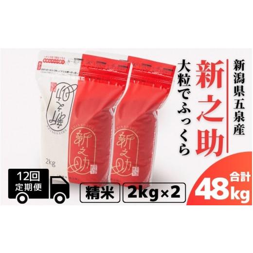 ふるさと納税 米 新潟県 五泉市 令和7年産 [12回定期便] 新之助 精米 4kg(2kg×2袋)新潟県 五泉市 有限会社ファームみなみの郷