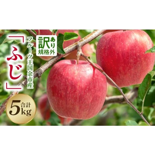 ふるさと納税 りんご 北海道 余市町 2025年11月下旬より発送 フルーツ王国余市産訳あり「ふじ」5kg ニトリ観光果樹園