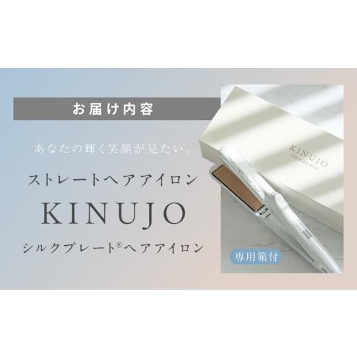 ふるさと納税 美容・健康家電 大阪府 泉佐野市 KINUJO ストレートヘア