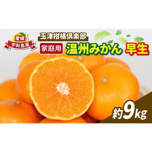 ふるさと納税 果物類 みかん 愛媛県 宇和島市 早生みかん 温州みかん 早生温州 9kg 家庭用 玉津柑橘倶楽部 先行予約 早生 わせ うんしゅう 愛媛みかん 愛媛蜜…