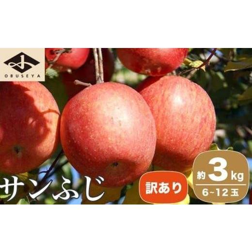 ふるさと納税 りんご 長野県 小布施町 訳あり 先行受付 サンふじ 約3kg 6〜12玉 [小布施屋]| りんご 林檎 リンゴ 不揃い 規格外 果物 フルーツ 生産者応援…