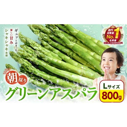 ふるさと納税 野菜類 アスパラガス 北海道 名寄市 先行予約 朝採りアスパラガス Lサイズ(800g) [2026年5月中旬-5月下旬頃出荷予定]北海道 名寄市 送料無料 …
