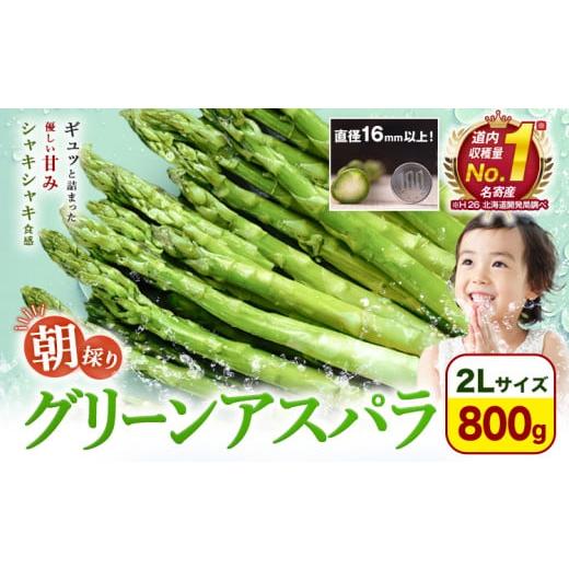 ふるさと納税 野菜類 アスパラガス 北海道 名寄市 先行予約 朝採りアスパラガス 2Lサイズ(800g) [2026年5月中旬-5月下旬頃出荷予定]北海道 名寄市 送料無料…