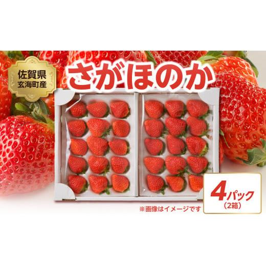 ふるさと納税 いちご 佐賀県 玄海町 予約受付 内容量が選べる 渡邉農園 佐賀県玄海町産「さがほのかDX」2026年1月〜4月までに順次配送 / 送料無料 さがほの…