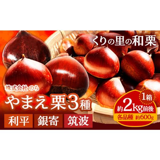ふるさと納税 果物類 栗 熊本県 山江村 GI認証登録 やまえ栗3種食べ比べセット 生栗 1箱 約2kg前後 利平・銀寄・筑波 各品種 約600g 株式会社のら のらしごと…