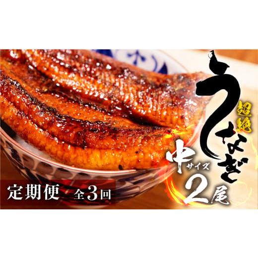 ふるさと納税 うなぎ 愛知県 豊橋市 超絶うなぎ蒲焼 中2尾 定期便 3回 3回 定期便
