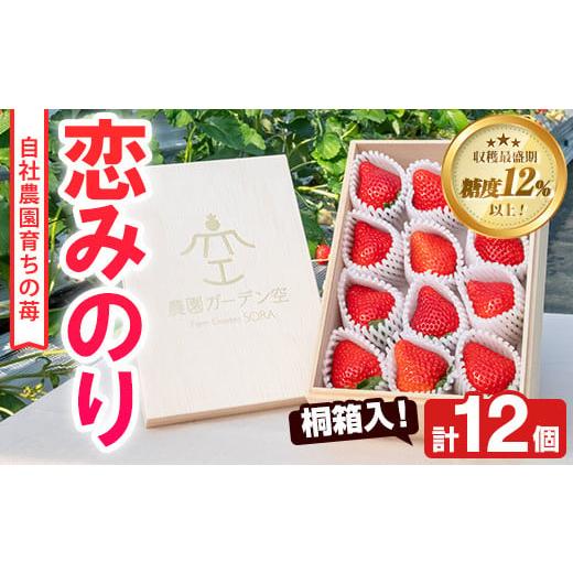 ふるさと納税 [先行予約受付中!2025年1月以降発送予定]桐箱入!自社農園産いちご 恋みのり(計12個) 鹿児島 阿久根 自社農園 果物 フルーツ イチゴ いちご …