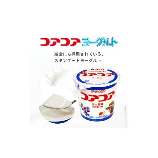 ふるさと納税 菓子 詰合せ 愛知県 小牧市 愛知ヨーク コアコア