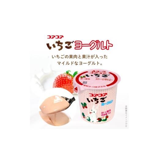 ふるさと納税 菓子 詰合せ 愛知県 小牧市 愛知ヨーク コアコア