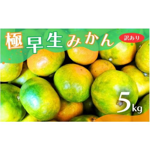 ふるさと納税 [2024年秋頃発送予約分][訳あり]こだわりの極早生みかん 約5kg ※2024年10月上旬より順次発送予定(お届け日指定不可) 有機質肥料100% サイ…