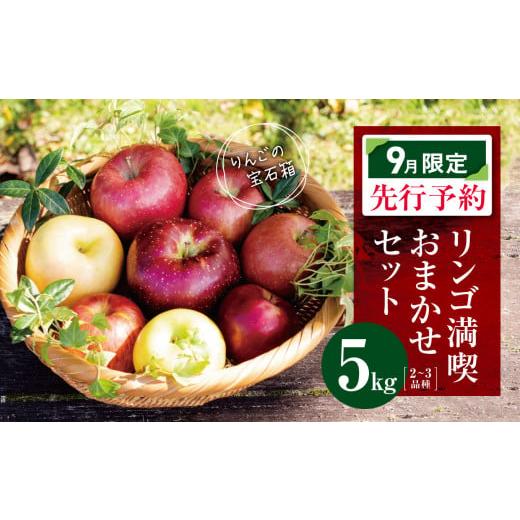 ふるさと納税 りんご 長野県 松川村 2026年9月限定 先行予約 訳あり リンゴ 満喫おまかせセット 約 5kg | ヤマモ農園 果物 フルーツ 果実 りんご 林檎 リンゴ…