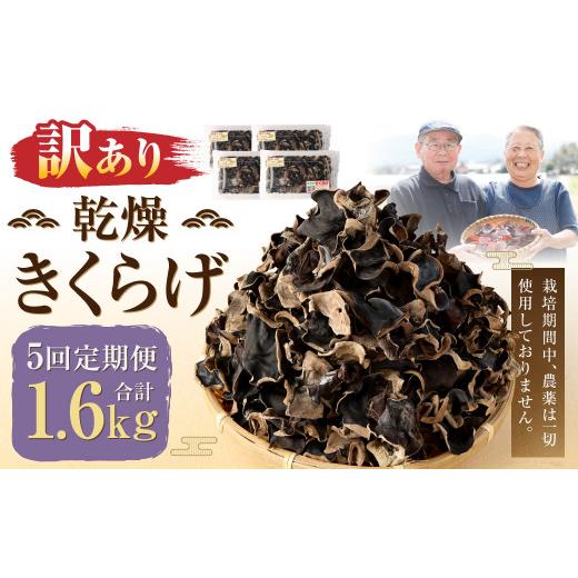 ふるさと納税 野菜類 きのこ 熊本県 人吉市 訳あり 5ヶ月定期便 乾燥きくらげ 320g（80g×4パック）×5回 合計1，600g 熊本県 乾燥 きくらげ キクラゲ 木耳 き…_1
