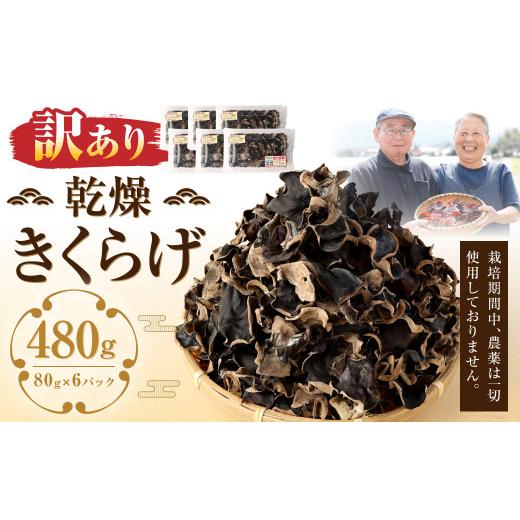 ふるさと納税 野菜類 きのこ 熊本県 人吉市 訳あり 乾燥きくらげ 480g （80g×6パック） 熊本県 乾燥 きくらげ キクラゲ 木耳 きのこ キノコ 国産 人吉市産_1