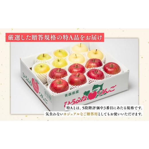 アマツツミ ほたる 下敷き ビジュアルファンブック 特典 パープルソフトウェア アマツツミ ほたる 下敷き ビジュアルファン