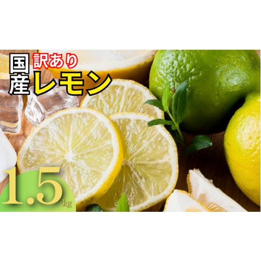 ふるさと納税 みかん・柑橘類 レモン 愛媛県 愛南町 レモン 訳あり 1.5kg 傷み補償 250g 5000円 送料無料 愛媛 国産 柑橘 フルーツ 産地直送 皮ごと 皮まで食…
