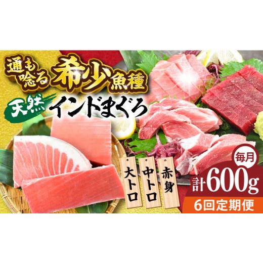 ふるさと納税 マグロ 神奈川県 横須賀市  全6回定期便 天然 まぐろ 大トロ・中トロ・赤身（約200ｇ×3柵）約600ｇ 鮪 マグロ 魚 刺身 横須賀 横須賀商工会議所…_1