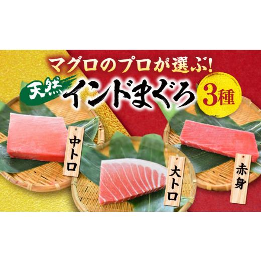 ふるさと納税 マグロ 神奈川県 横須賀市  全6回定期便 天然 まぐろ 大トロ・中トロ・赤身（約200ｇ×3柵）約600ｇ 鮪 マグロ 魚 刺身 横須賀 横須賀商工会議所…_2