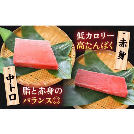 ふるさと納税 マグロ 神奈川県 横須賀市  全6回定期便 天然 まぐろ 大トロ・中トロ・赤身（約200ｇ×3柵）約600ｇ 鮪 マグロ 魚 刺身 横須賀 横須賀商工会議所…_5