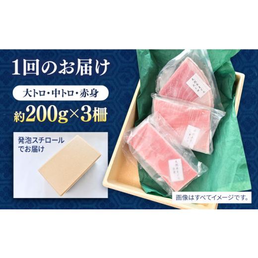 ふるさと納税 マグロ 神奈川県 横須賀市  全6回定期便 天然 まぐろ 大トロ・中トロ・赤身（約200ｇ×3柵）約600ｇ 鮪 マグロ 魚 刺身 横須賀 横須賀商工会議所…_8